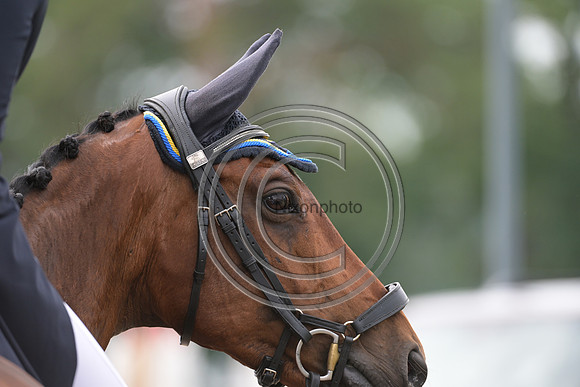 Longines Luhmühlen Horse Trials