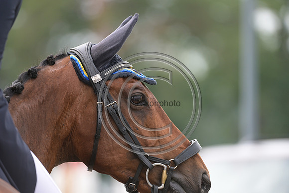Longines Luhmühlen Horse Trials