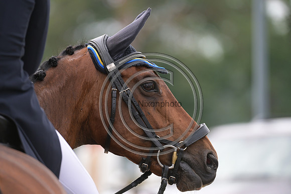 Longines Luhmühlen Horse Trials