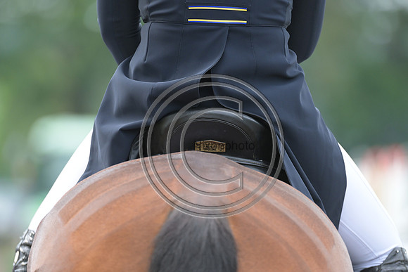 Longines Luhmühlen Horse Trials
