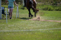 Longines Luhmühlen Horse Trials