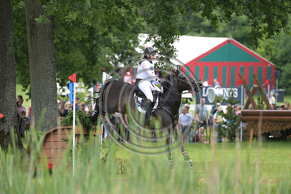 Longines Luhmühlen Horse Trials