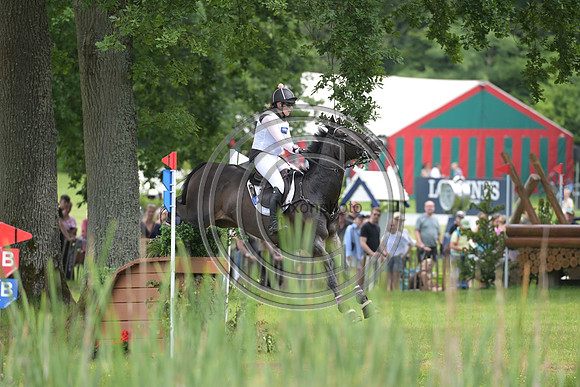 Longines Luhmühlen Horse Trials