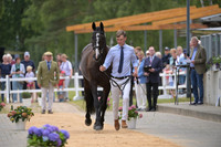 Harry Horton_Cooley w_PN81161