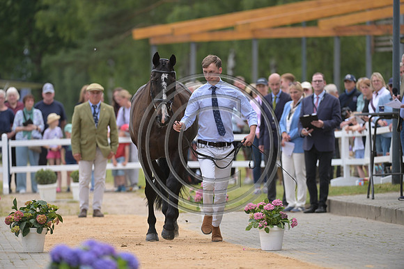 Harry Horton_Cooley w_PN81159
