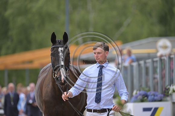 Harry Horton_Cooley w_PN81177