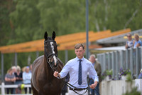 Harry Horton_Cooley w_PN81171