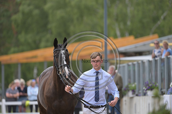 Harry Horton_Cooley w_PN81171