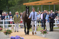 Harry Horton_Cooley w_PN81156