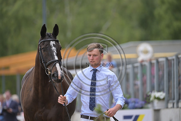 Harry Horton_Cooley w_PN81179
