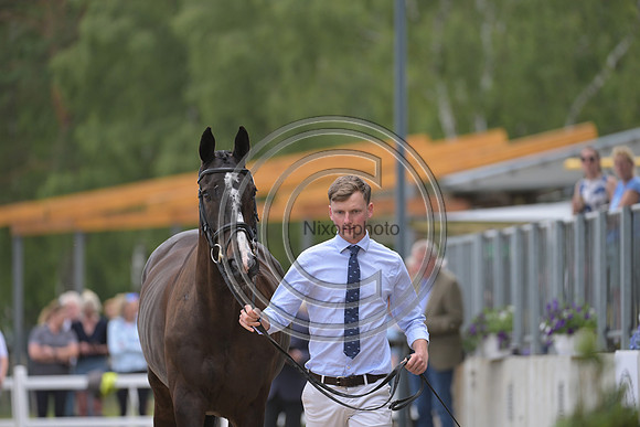 Harry Horton_Cooley w_PN81170