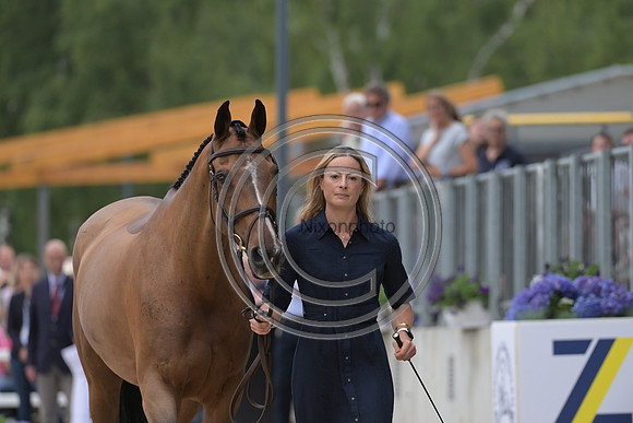 Caroline Harris_D Day_PN92885
