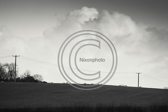 TFSHB_Hunting_PN23_2708-2