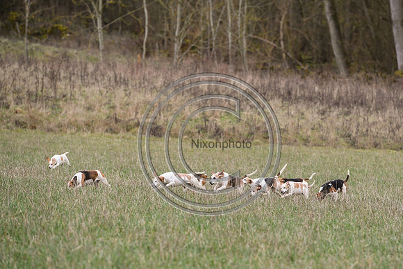 TFSHB_Hunting_PN23_2702
