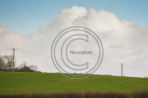 TFSHB_Hunting_PN23_2708