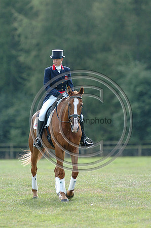 05PhillipsZ_ToytownBlen1362