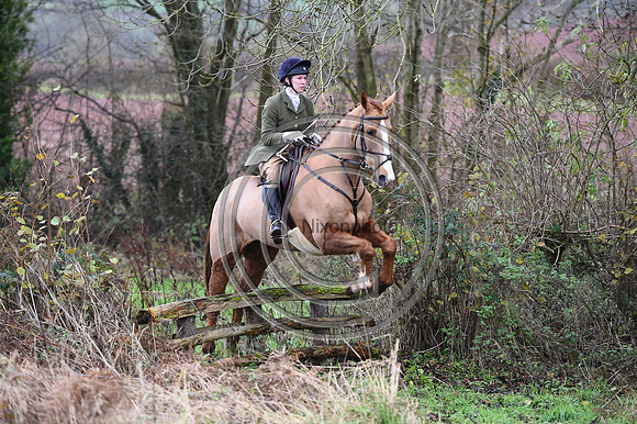 Ludlow_Hunting_80
