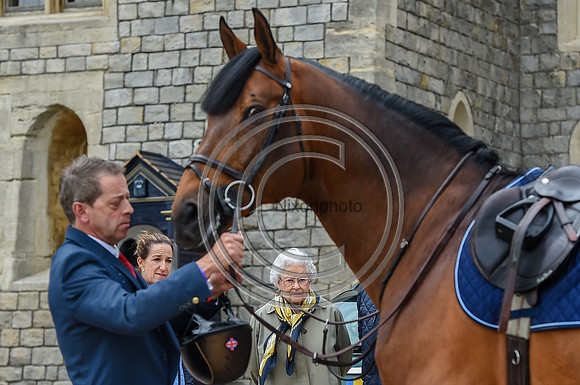 HMQ_RWHS_PN17_31803