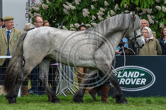 RWHSLife_RWHS_PN17_50809