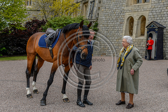 HMQ_RWHS_PN17_31921