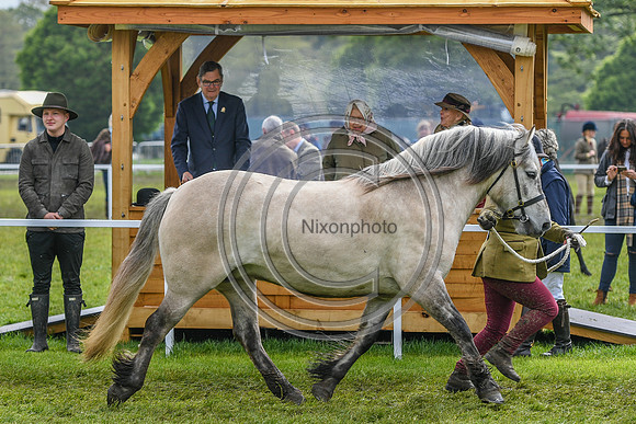 HMQ_RWHS_PN19_13373
