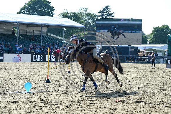 DAKS_PC_RWHS25_P190002