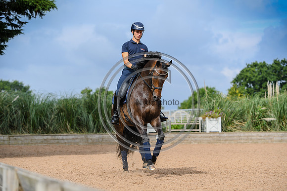 Collective Equestrian