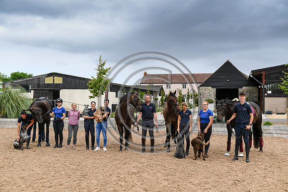 Collective Equestrian