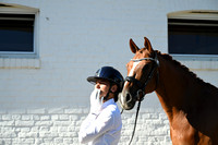 CHIO Aachen