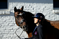 Trot_up