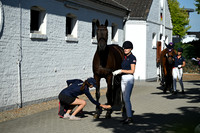 CHIO Aachen
