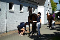 CHIO Aachen