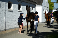 CHIO Aachen