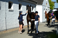CHIO Aachen