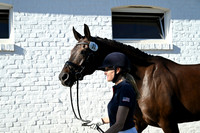 CHIO Aachen