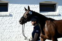 CHIO Aachen