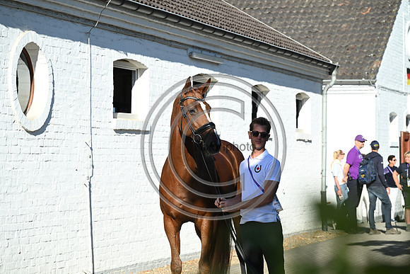 CHIO Aachen