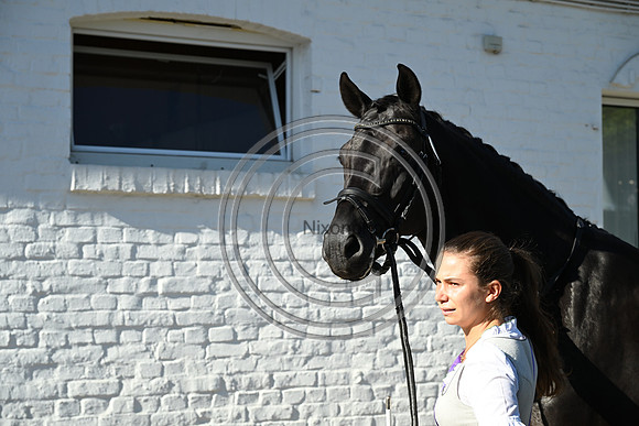 CHIO Aachen