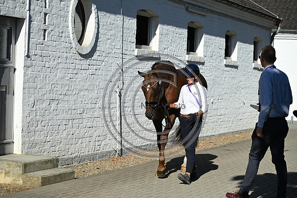 CHIO Aachen