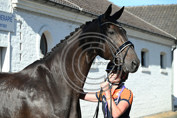 CHIO Aachen