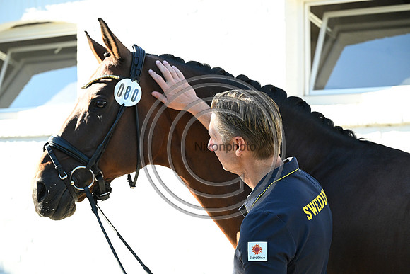 CHIO Aachen