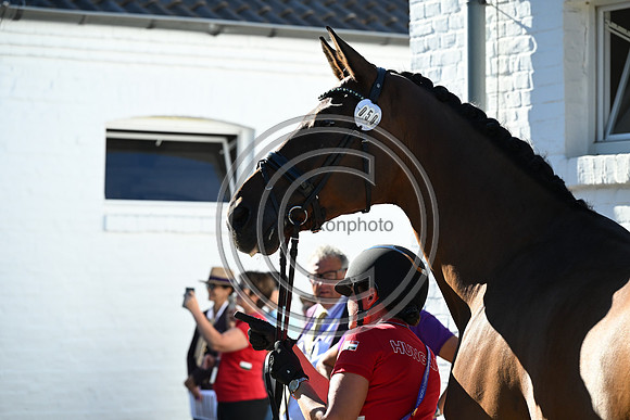 CHIO Aachen