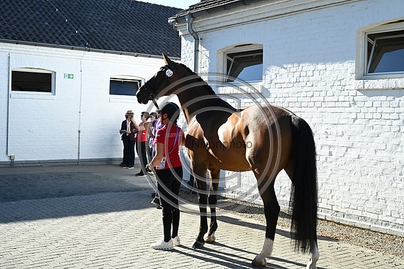 CHIO Aachen