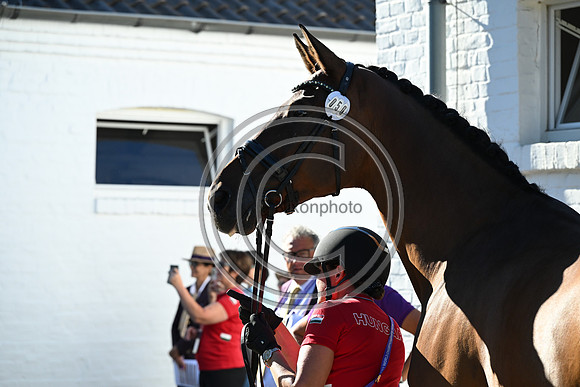 CHIO Aachen