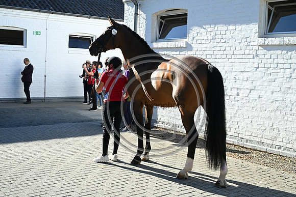 CHIO Aachen