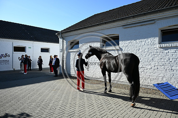 CHIO Aachen