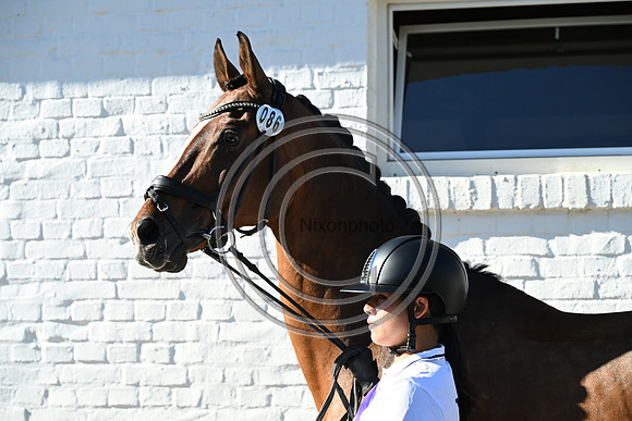 CHIO Aachen