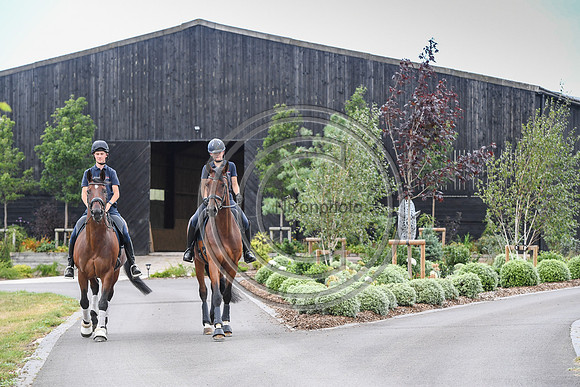Collective Equestrian