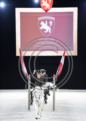 Spanish Riding School;  10 11 2016