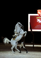 Spanish Riding School;  10 11 2016